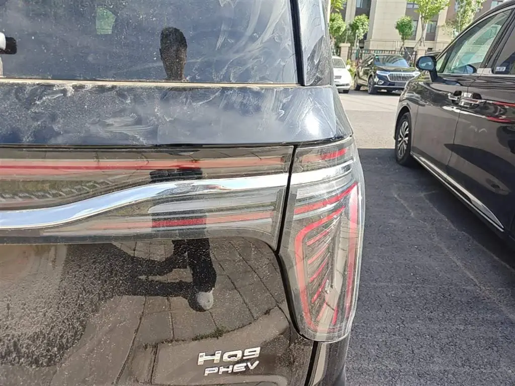 Hongqi HQ9 PHEV 2024 — Photo 8/20