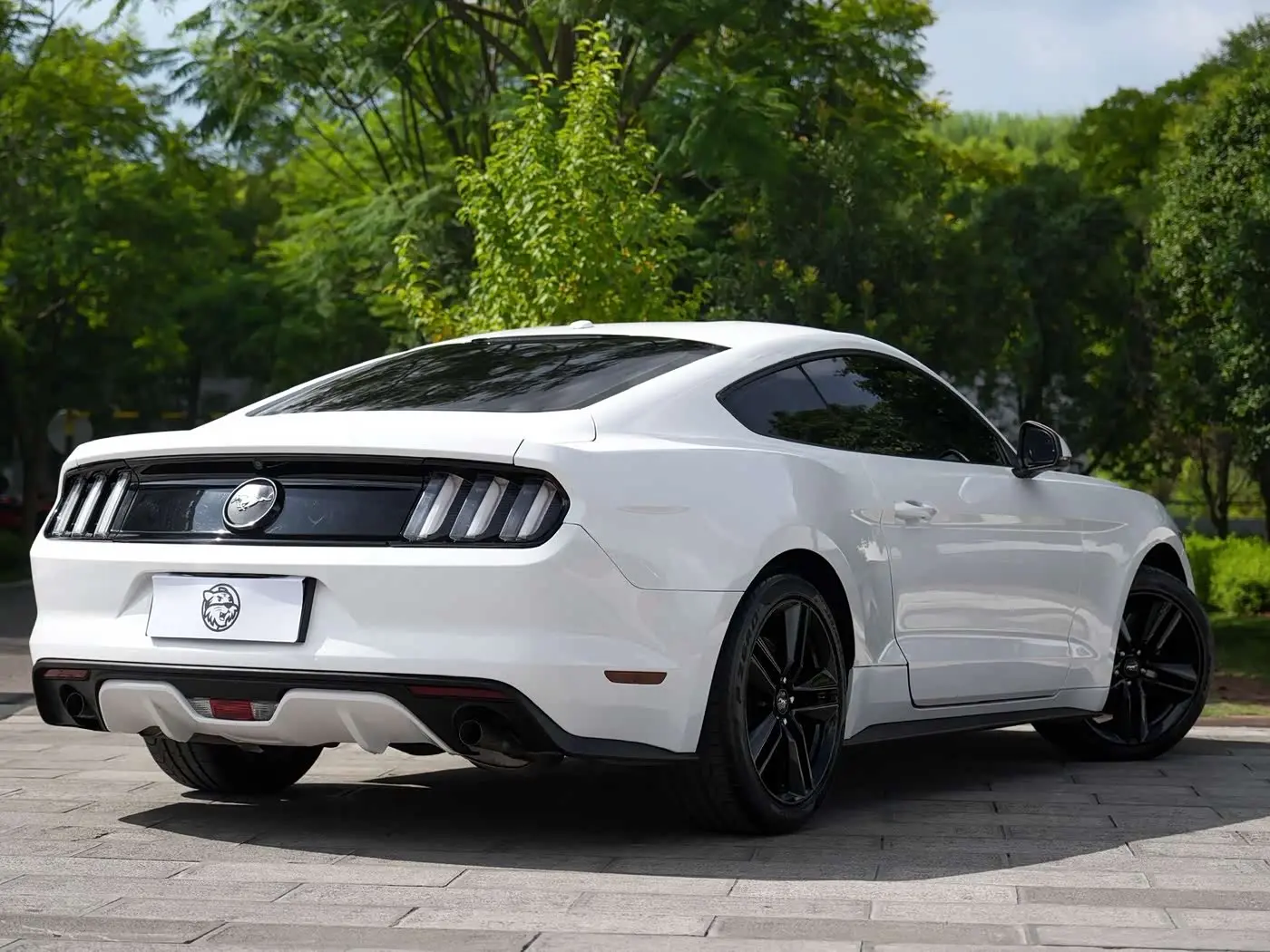 Ford Mustang 2017 — Photo 14/14