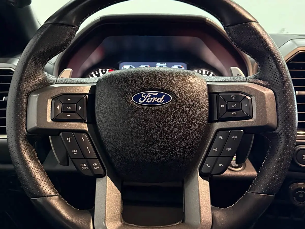 Ford F-150 Raptor 2018 — Photo 13/20