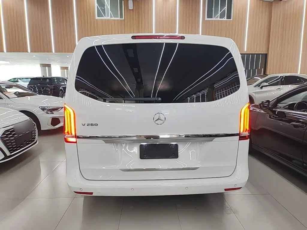 Mercedes-Benz V-Class 2018 — Фото 6/20