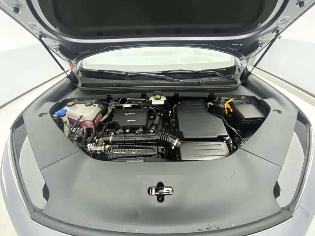 BYD Sealion 06 New Energy 2025 — Şəkil 12/20