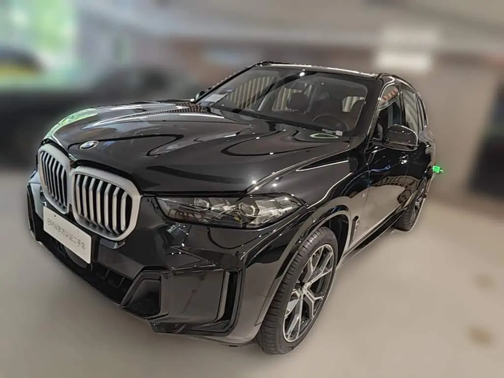 BMW X5 2025 — Şəkil 1/20