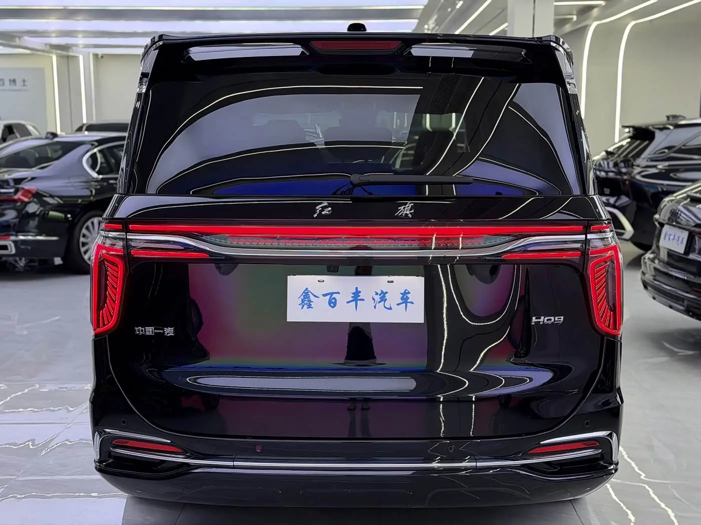 Hongqi HQ9 2023 — Şəkil 10/12