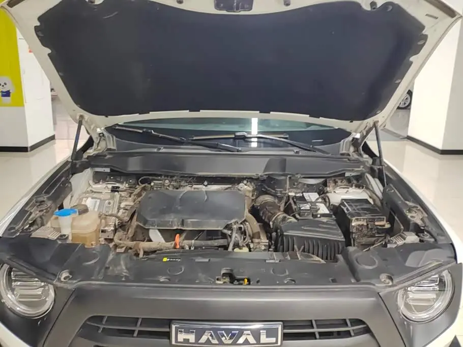 Haval Big Dog 2025 — Şəkil 10/16
