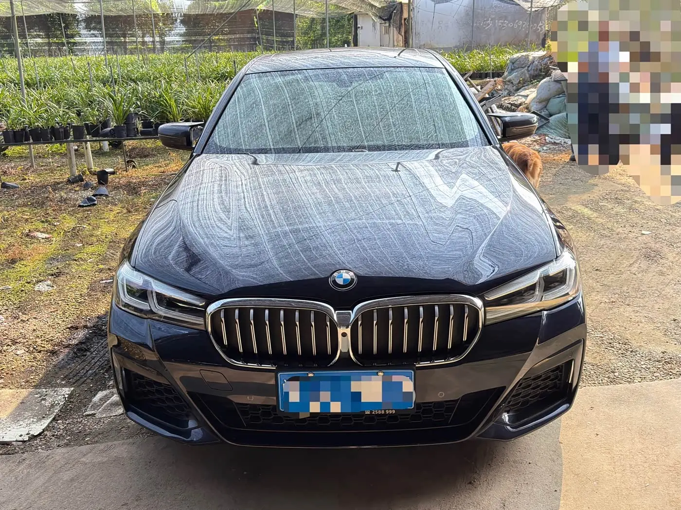 BMW 5 Series 2023 — Şəkil 2/14