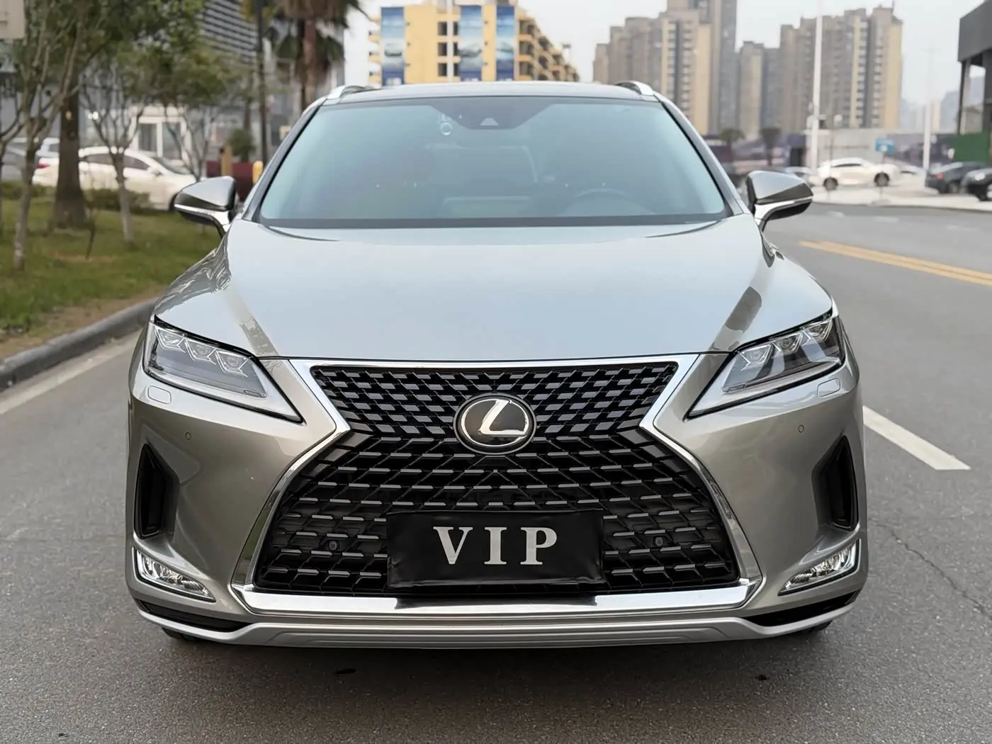 Lexus RX 2020 — Photo 4/18
