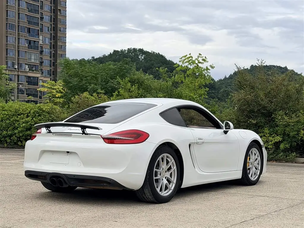 Porsche Cayman 2014 — Photo 7/10
