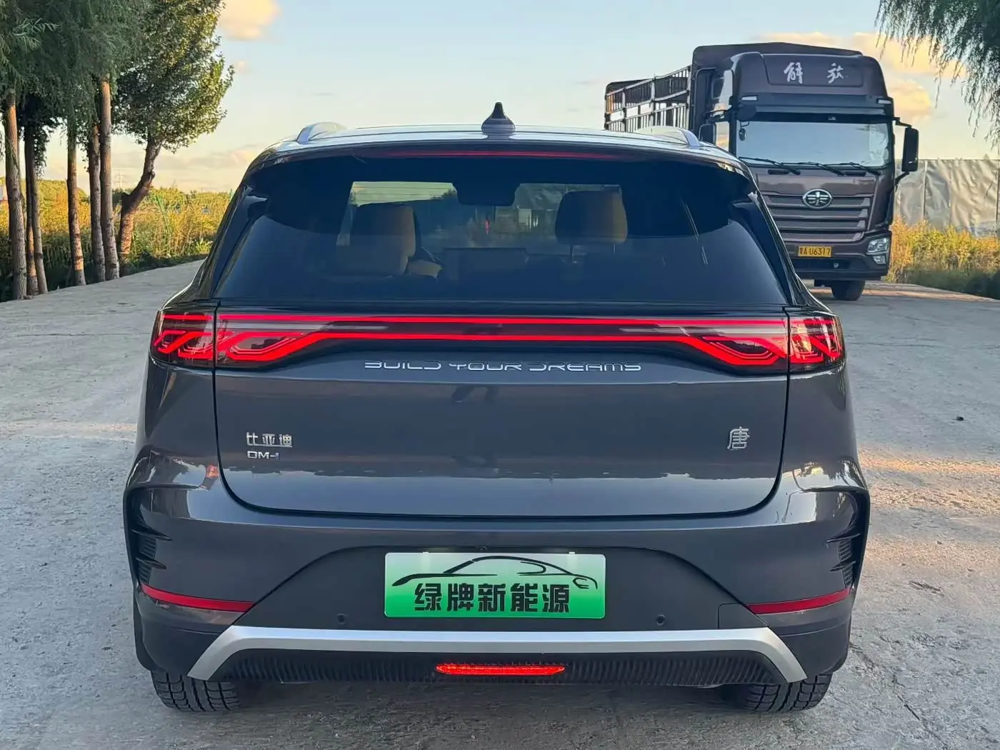 BYD Tang New Energy 2024 — Photo 8/9