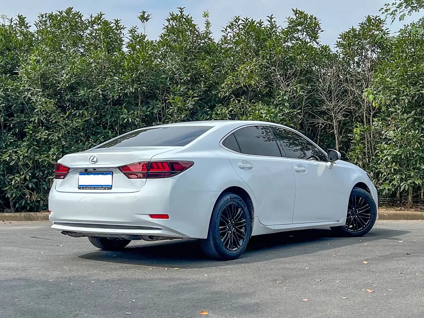 Lexus ES 2015 — Фото 4/15
