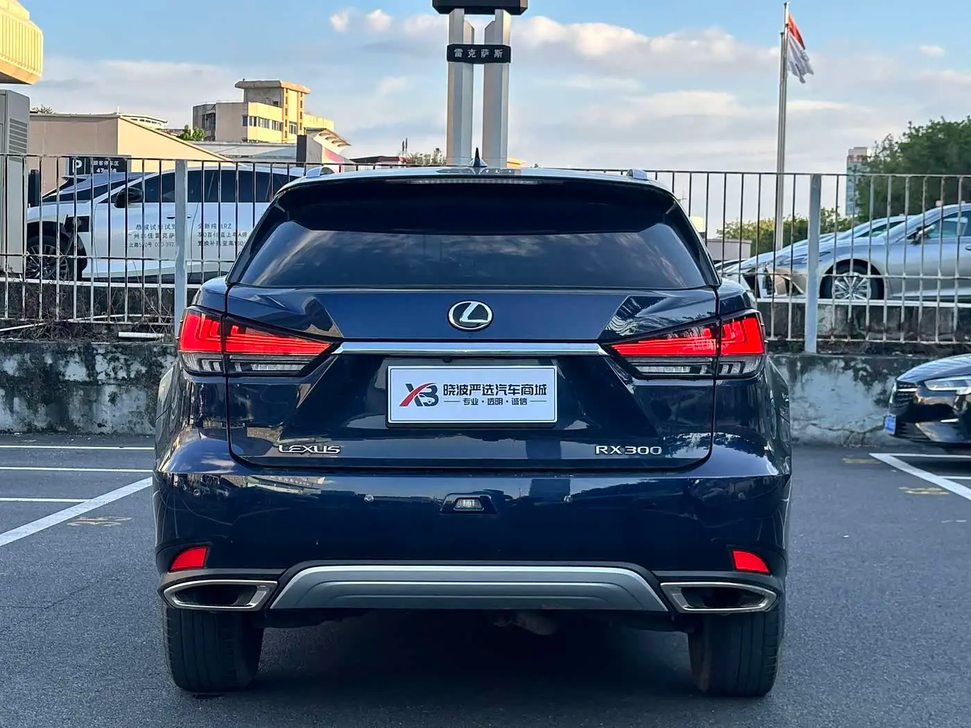 Lexus RX 2020 — Şəkil 18/20