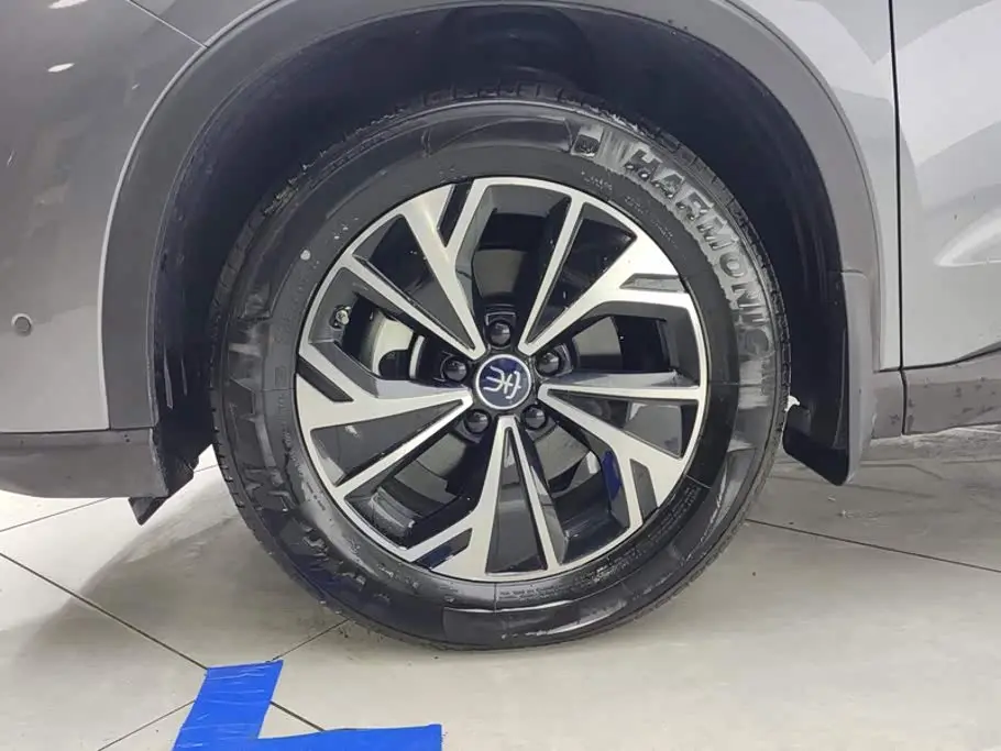 BYD Song Pro New Energy 2025 — Фото 6/16