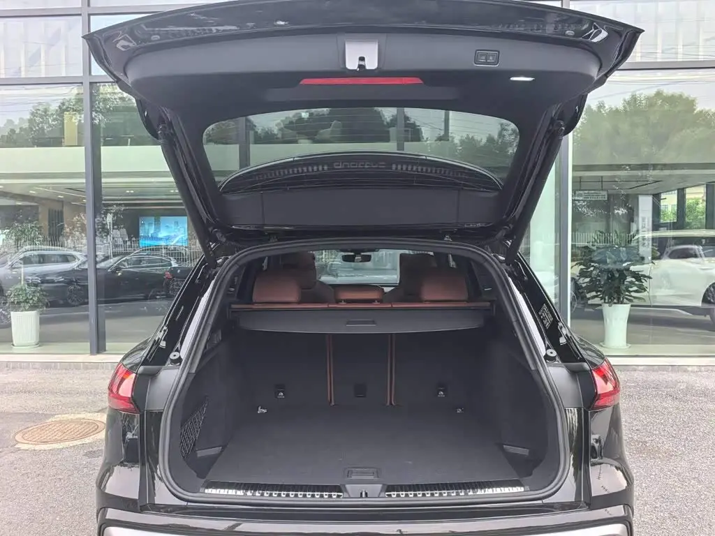 Audi Q5L 2025 — Photo 15/17