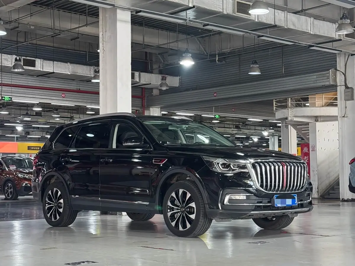 Hongqi HS7 2021 — Şəkil 3/20