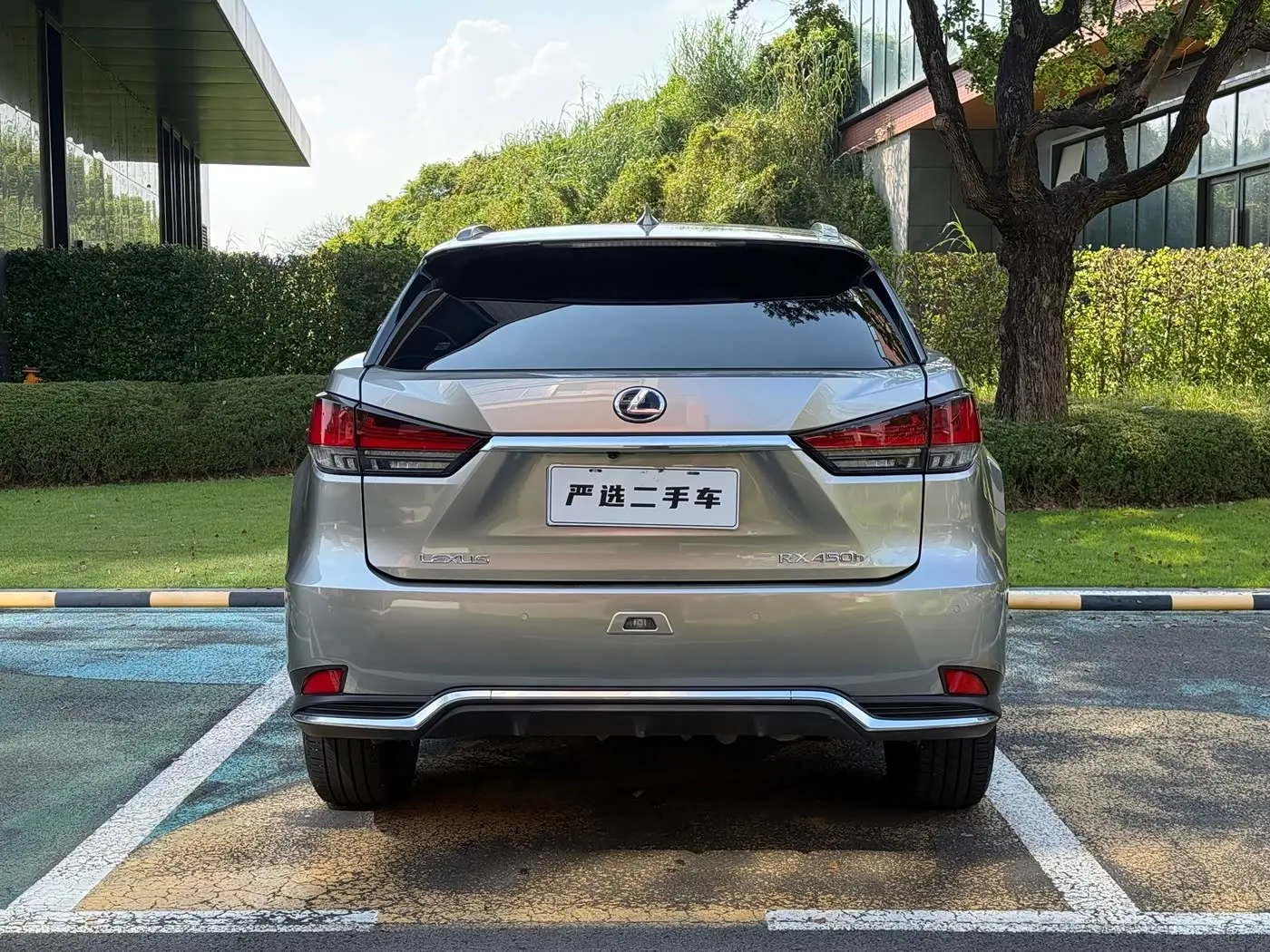 Lexus RX 2020 — Photo 6/16