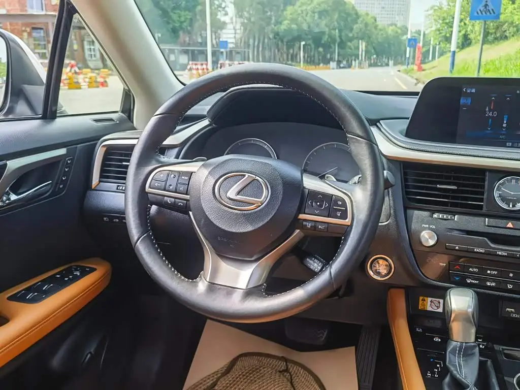 Lexus RX 2022 — ფოტო 12/20